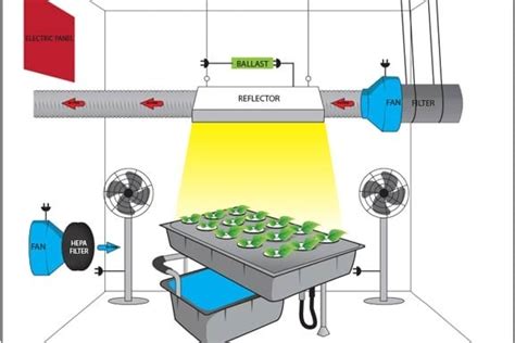 electric box for grow room|gfci for grow rooms.